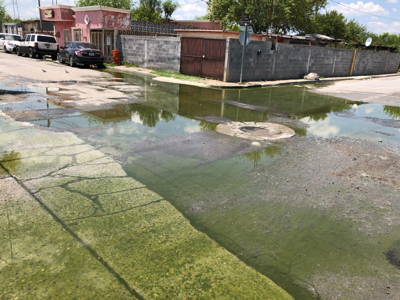 Vecinos de la colonia Bertha del Avellano viven rodeados de aguas negras pese a la supuesta inversión millonaria anunciada por la alcaldesa Carmen Lilia Canturosas