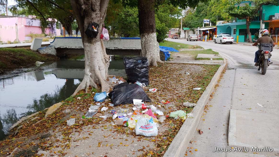 Tamaulipas Enfrenta Desafíos Ambientales en Vísperas del Día Mundial del Medio Ambiente