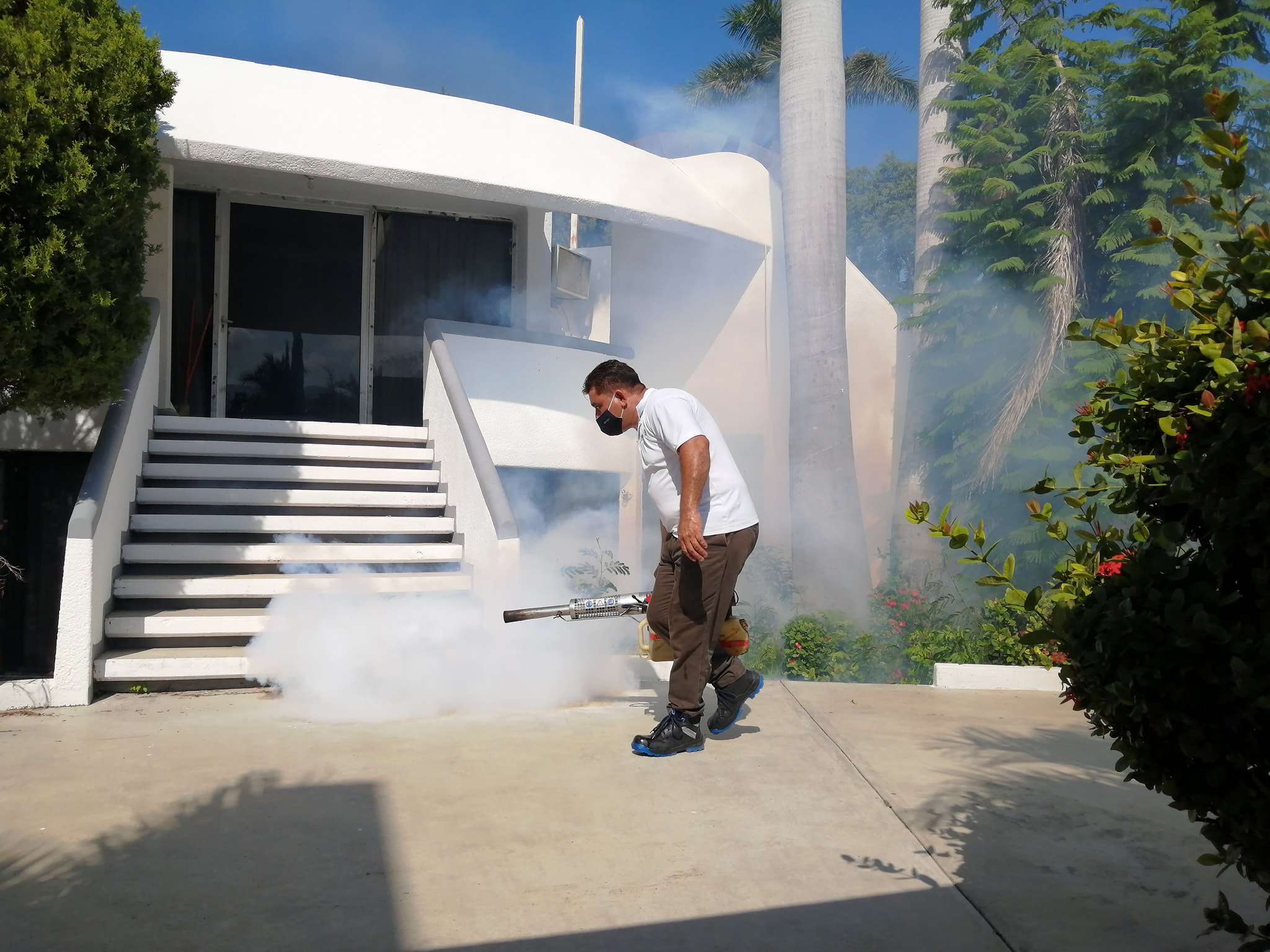 Se reportan 392 casos de dengue en Tamaulipas, 161 con posibles complicaciones graves