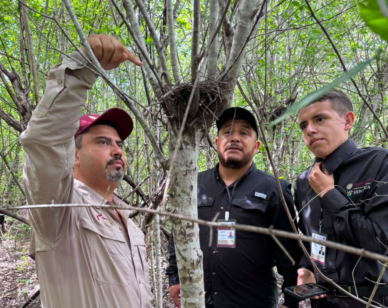 Monitorean fauna silvestre en Abasolo para prevenir presencia de gusano barrenador